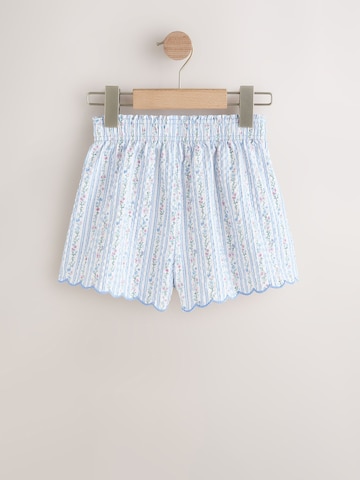 Largi Pantaloni de la Next pe albastru