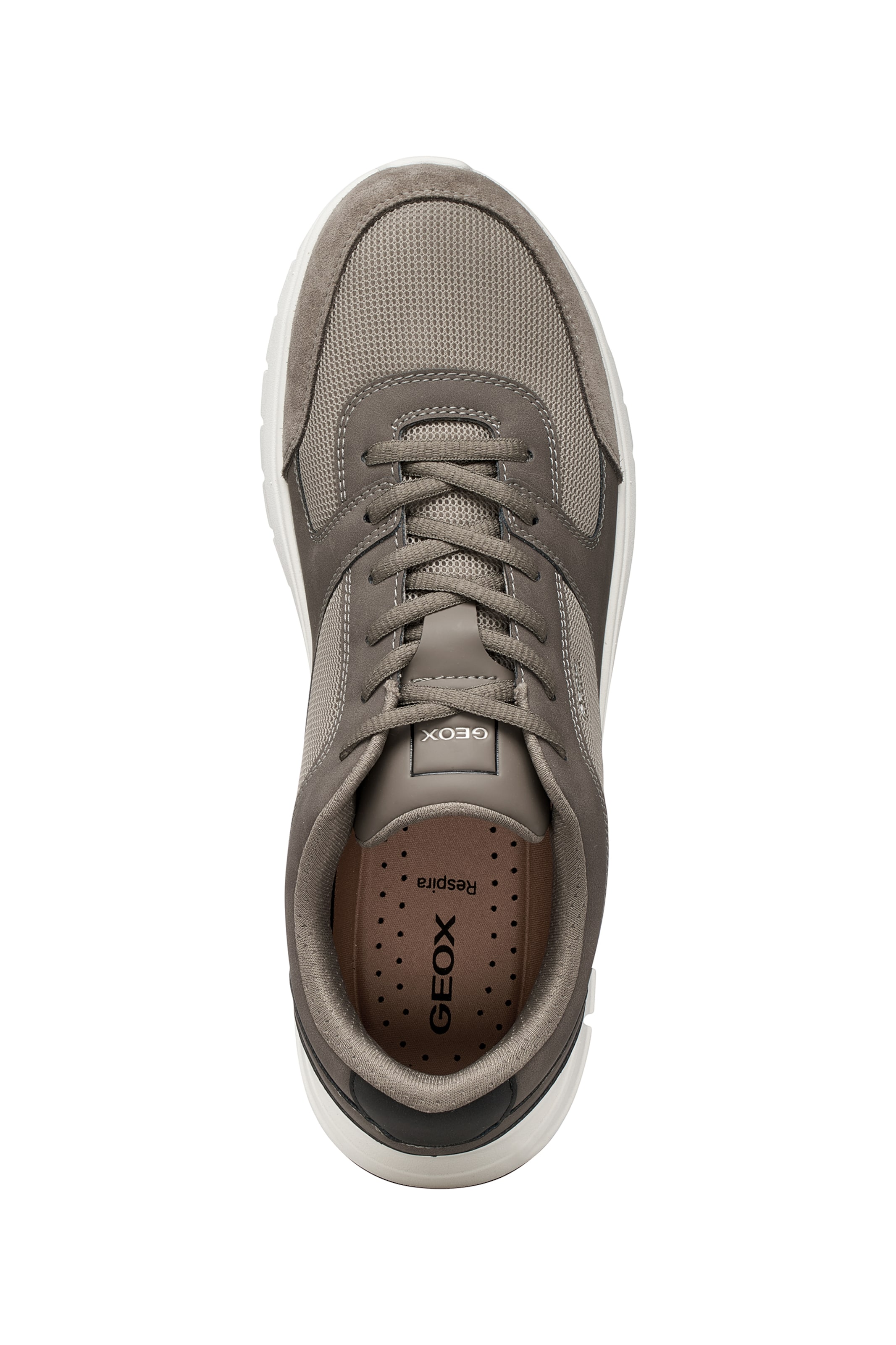 GEOX Sneaker in Grün