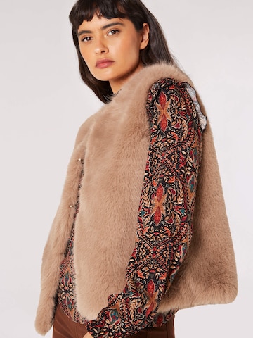 Apricot Vest in Brown
