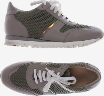 LLOYD Sneaker 38 in Grün: predná strana