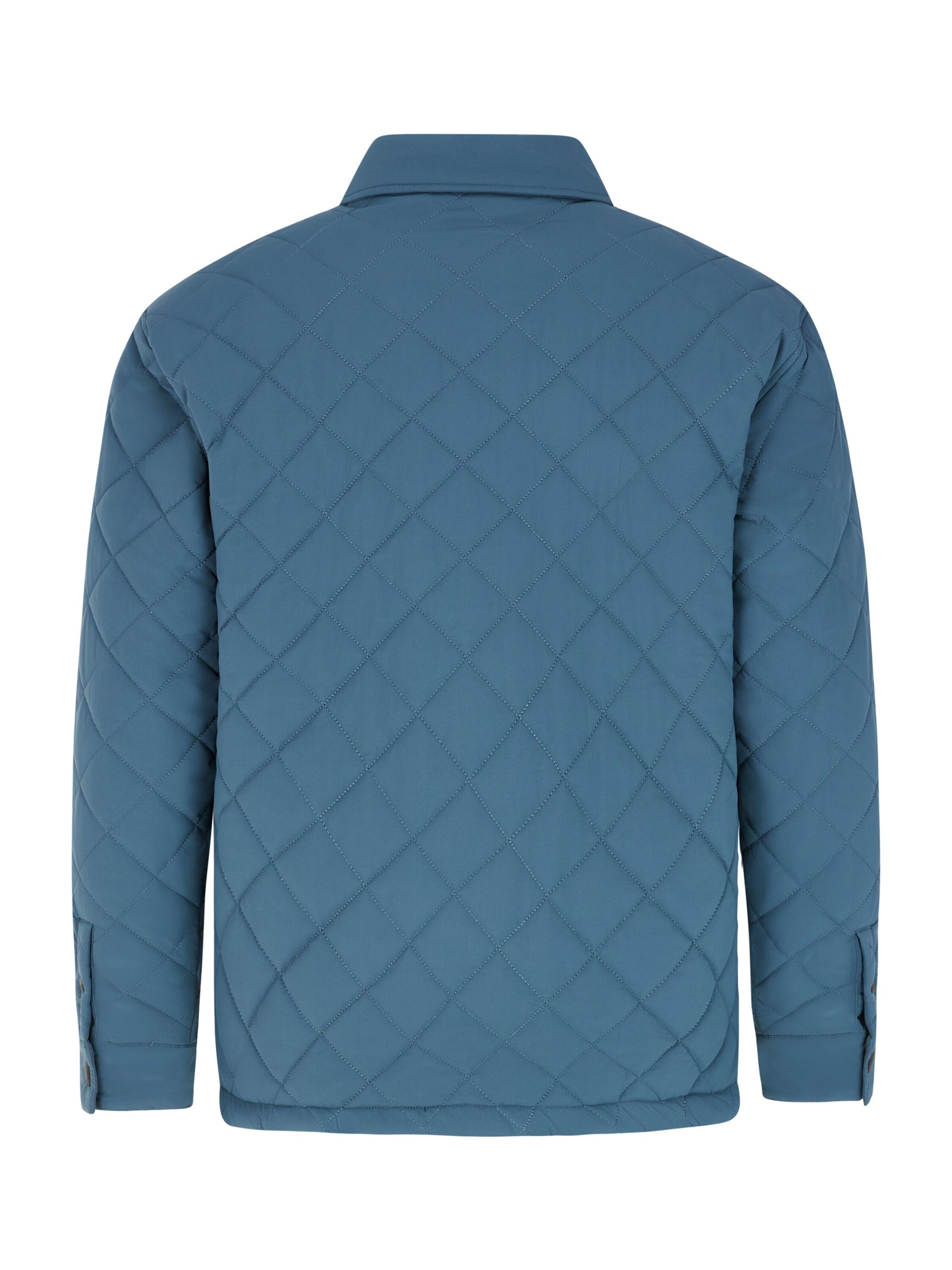 PROTEST Winterjacke 'PRTDRYDEN'‌‌‌‌‌ in Blau