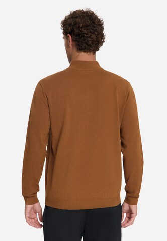 Pull-over No Excess en marron