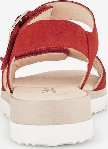 GABOR Strap Sandals in Red