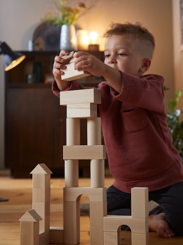 HABA Game ' Meine ersten Bausteine Natur ' in Mixed colors