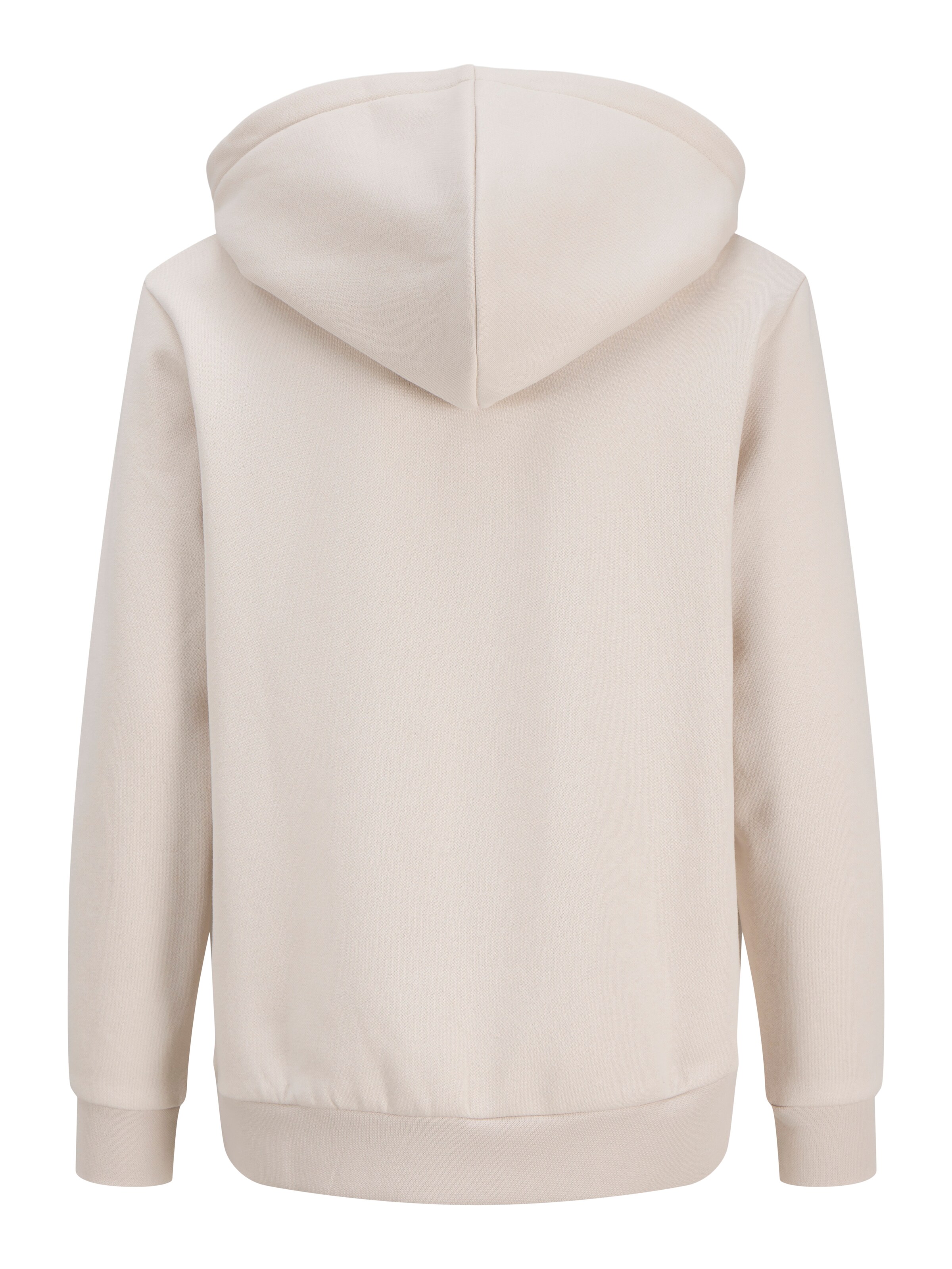 JJXX Collegepaita 'JXABBIE' värissä beige