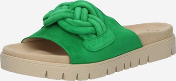 GABOR Mules in Green: front