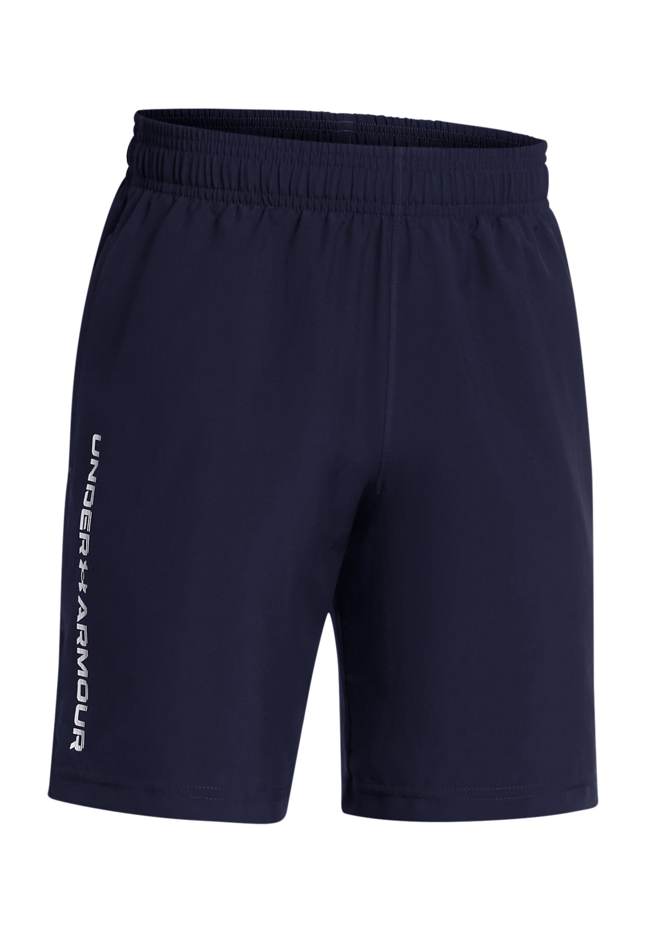 UNDER ARMOUR Regular Sports trousers in Blue