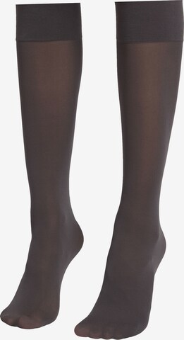 CALZEDONIA Knee High Socks in Grey: front