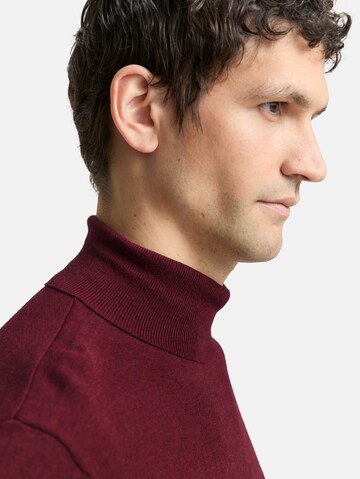 TOM TAILOR Sweater in Red