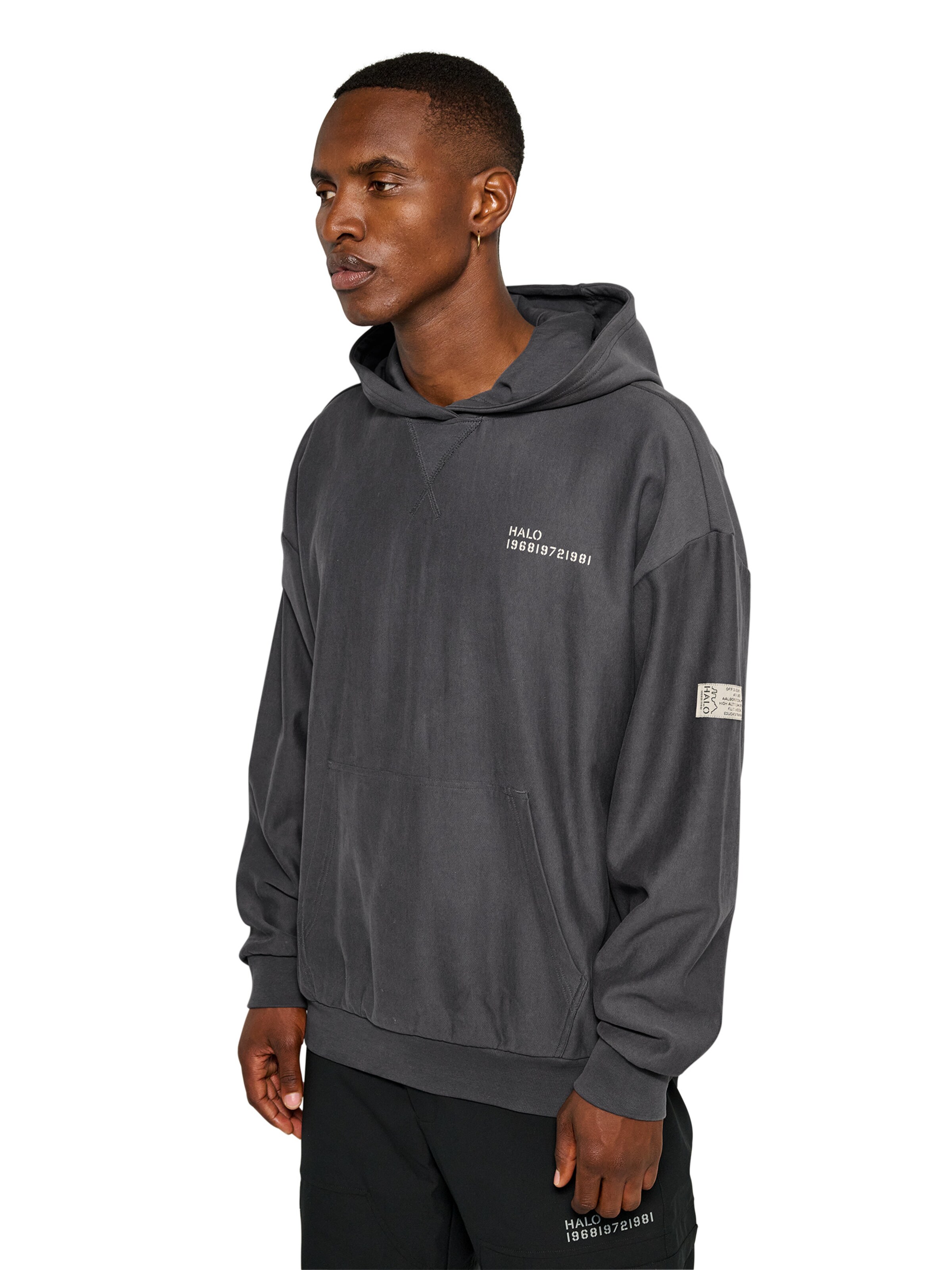 HALO Sweatshirt in Grey