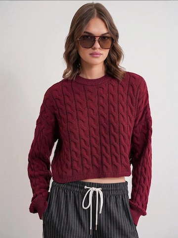 Pullover 'Pullover' di MixRay in rosso