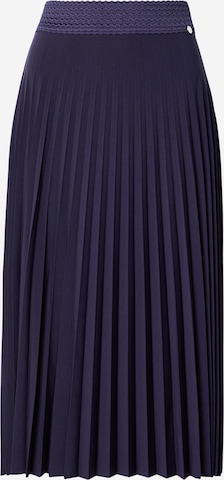 zils Rich & Royal Svārki: no priekšpuses