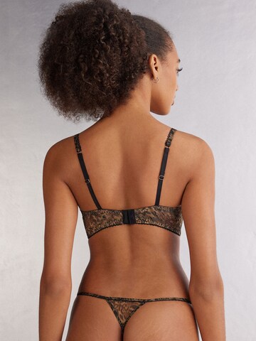 INTIMISSIMI Bustier BH in Braun