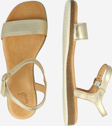 Apple of Eden Strap sandal 'ISA' in Gold