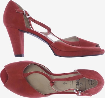 CAPRICE High Heels & Pumps in 38 in Red: front