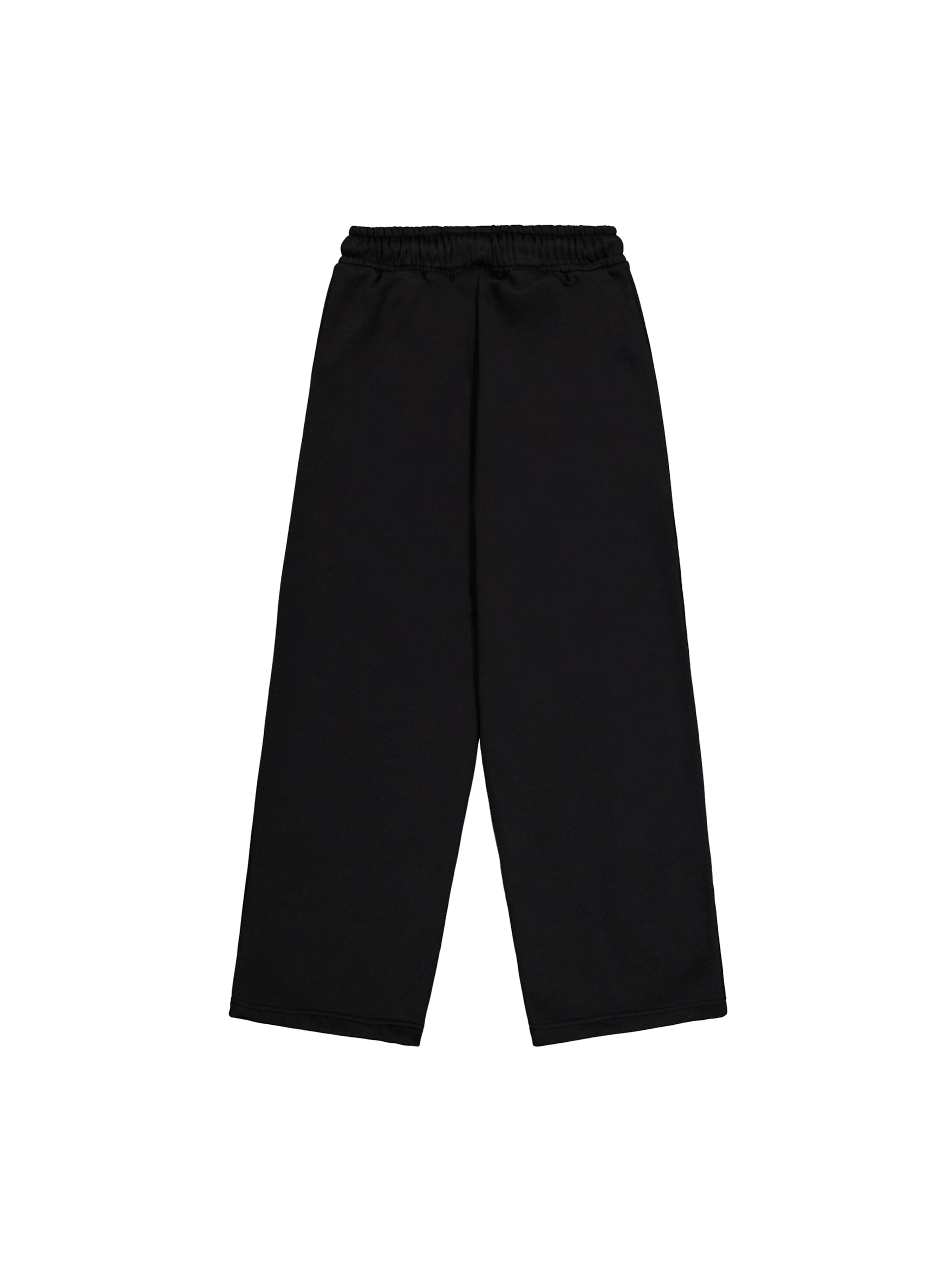 ALPHA INDUSTRIES Wide leg Pants in Black: back