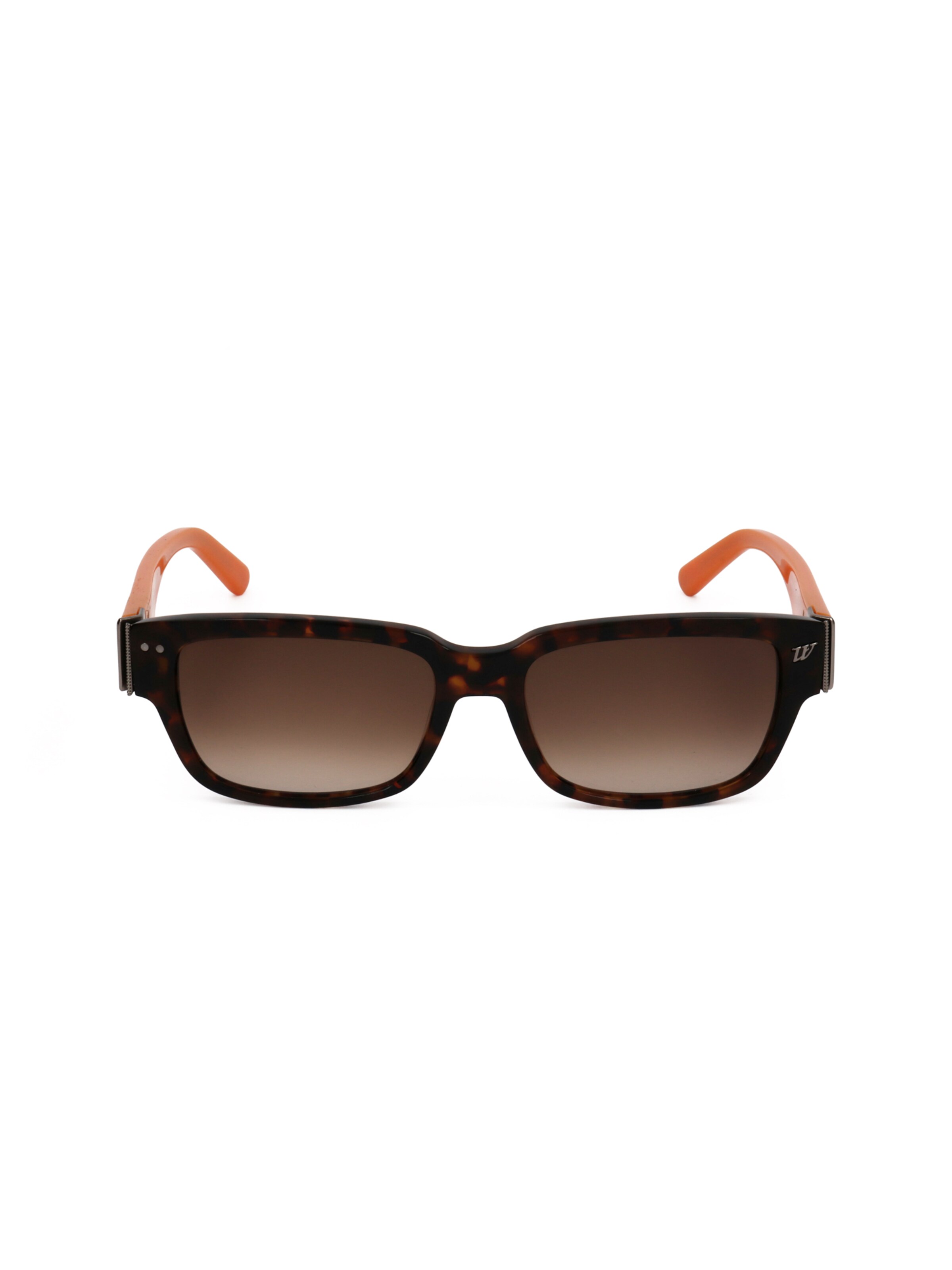 Occhiali da sole 'WE0115' di Web Eyewear in marrone: frontale