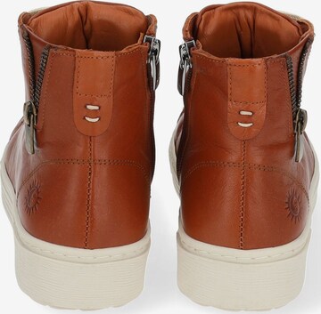 Sneaker alta di COSMOS COMFORT in marrone