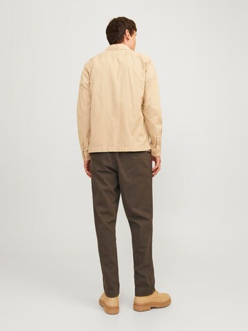 JACK & JONES Regular Chino trousers 'JPSTKane JJDave' in Brown
