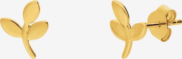 Lucardi Oorbellen in Goud: voorkant