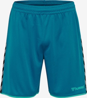 Hummel Shorts in Blau: predná strana