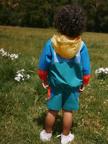 jauktas krāsas Next Komplekts