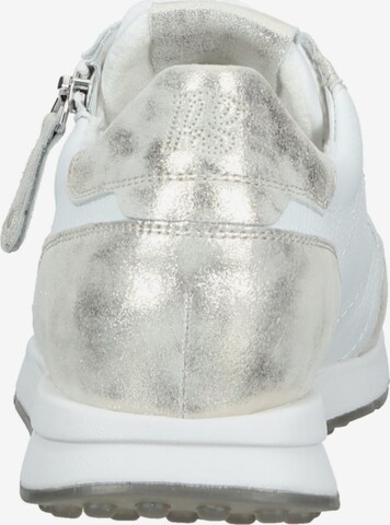 Paul Green Sneakers in White