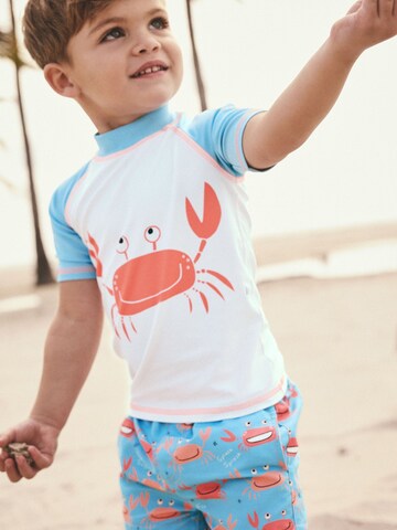 Next - Conjunto en azul