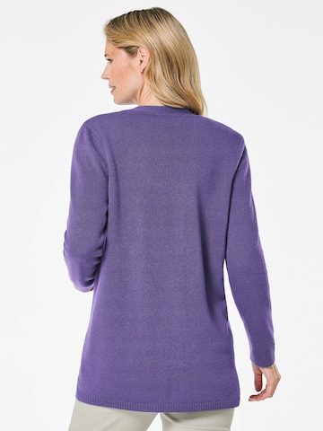 Goldner Sweater in Purple