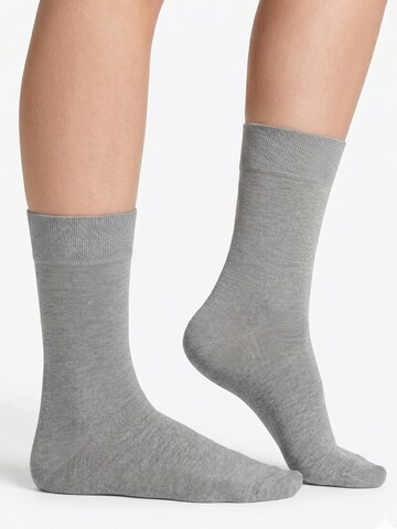footstar Socken 'EVERYDAY!'‌‌‌ in Grau