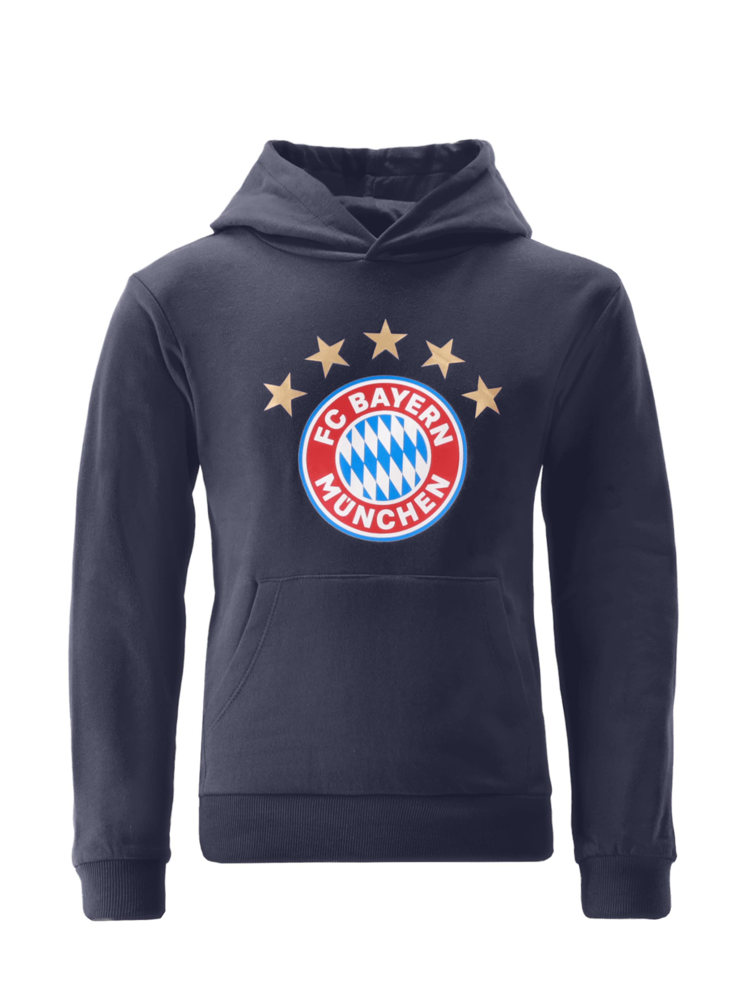 FC BAYERN MÜNCHEN Sweatshirt 'Essential' in Blau: Vorderseite