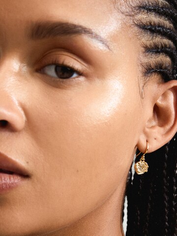 Pilgrim Earrings 'Callum' in Gold: front