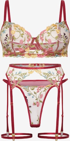 Orchibelle Underwear Sets in Red: front