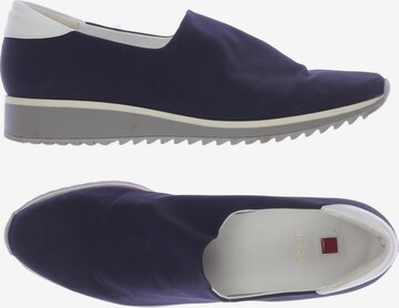 Högl Flats & Loafers in 41 in Blue: front