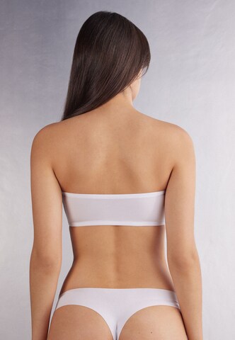 INTIMISSIMI Bandeau Bra in White