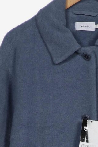 hessnatur Jacket & Coat in L in Blue