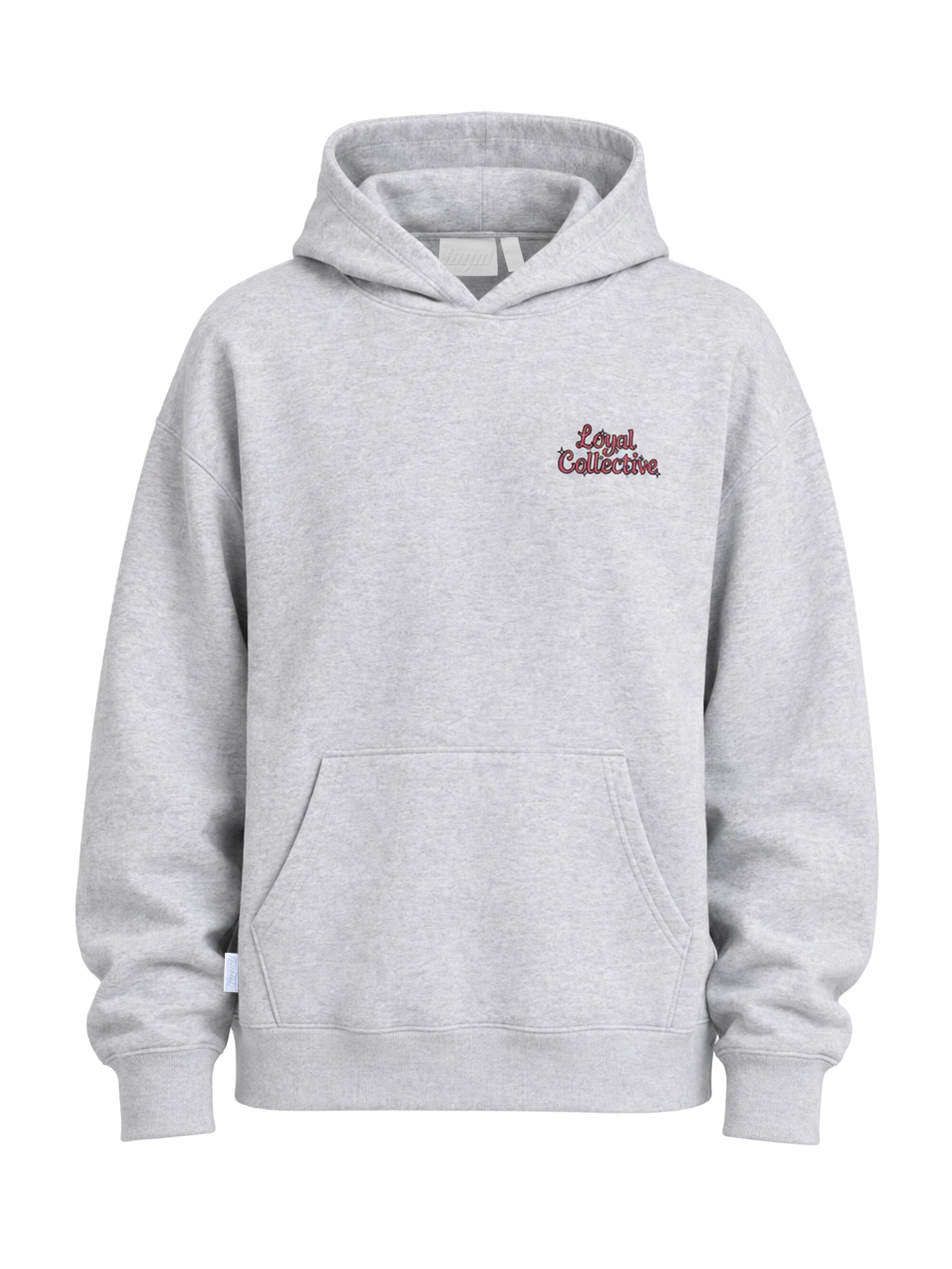 loyal Unisex Hoodie Paint in Loose Fit in Grau: Vorderseite