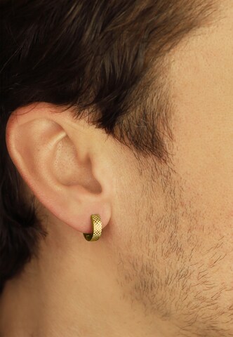 Steelwear Earrings in Yellow