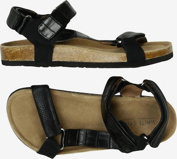WHITE STUFF Sandals & High-Heeled Sandals in 35 in Black: front