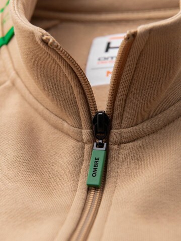 Ombre Sweatshirt in Brown