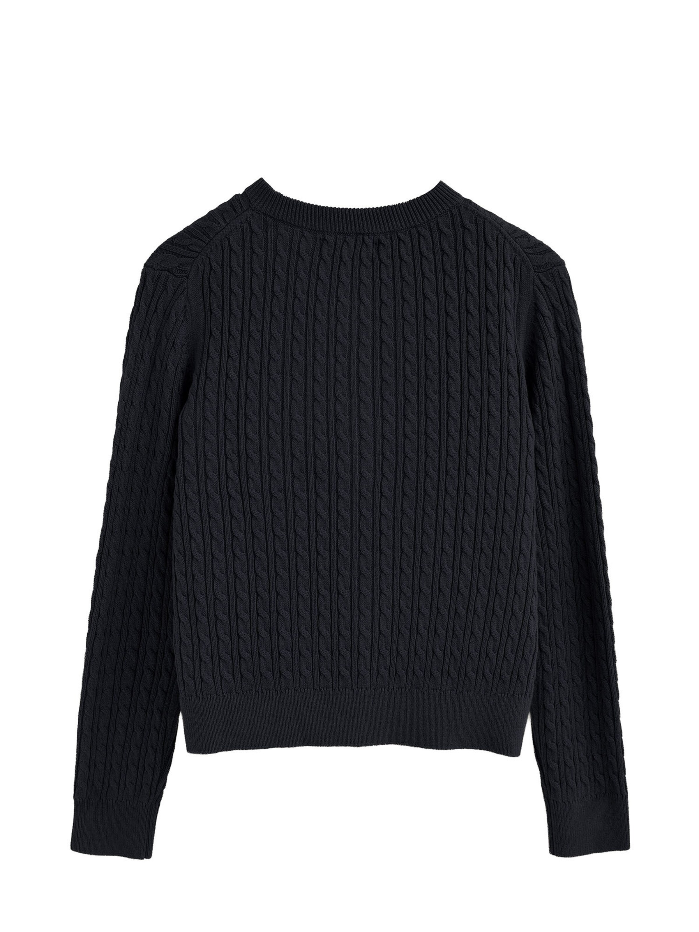 Polo Club Pullover in Blau