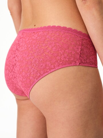 Penti Panty in Pink