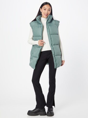 Gilet di TOM TAILOR DENIM in verde