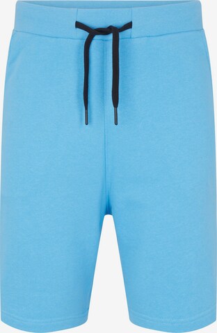 TOM TAILOR DENIM Pants in Blue: front