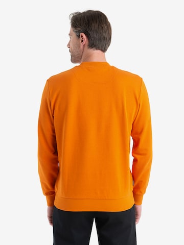 ICEBREAKER Sweatshirt 'Central II' i oransje