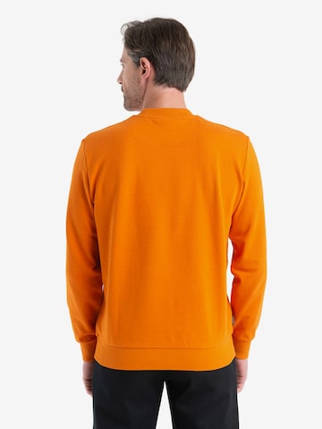 ICEBREAKER Sweatshirt 'Central II' in Orange