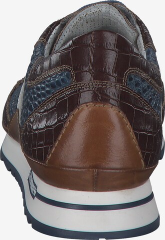 Galizio Torresi Sneakers '417010' in Brown
