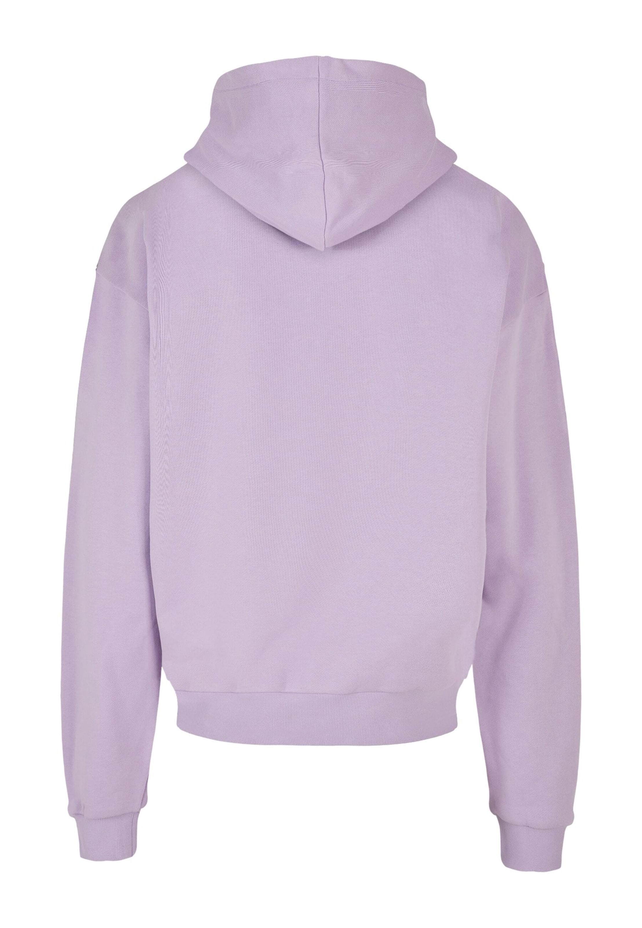 lillā Lost Youth Sportisks džemperis