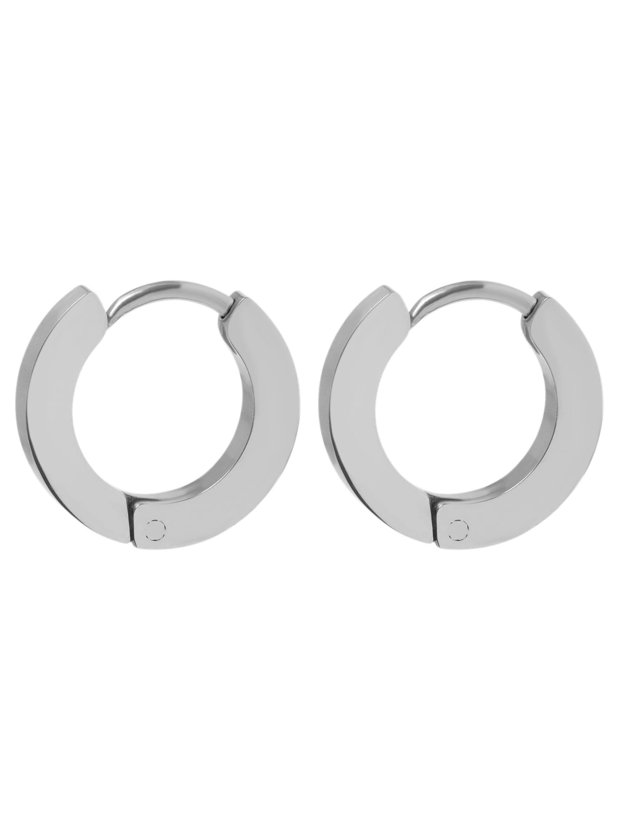 Akzent Earrings 'Inu, hautverträglich' in Silver