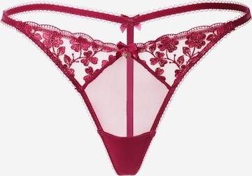 Boux Avenue - Tanga 'JESSAMY' em roxo: frente